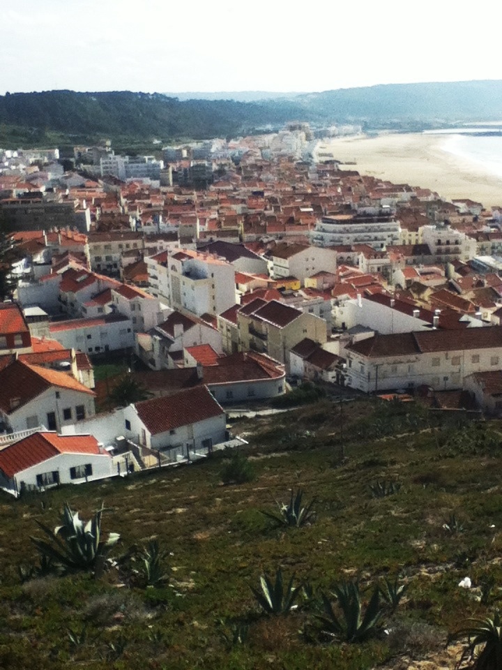 ポルトガルの真髄